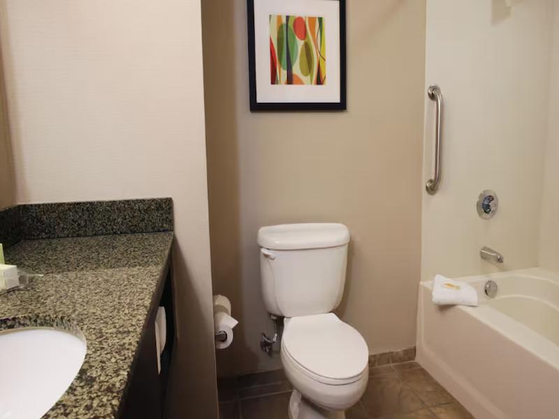 Holiday Inn Phoenix - Chandler image