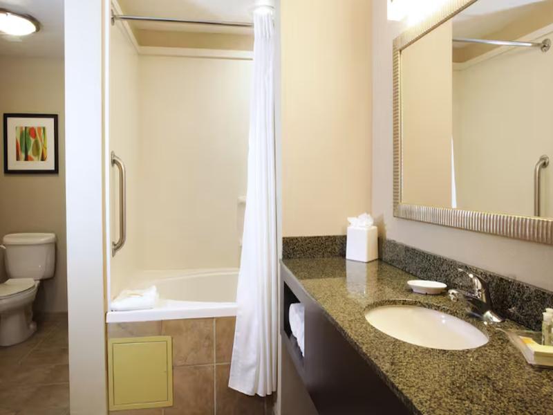 Holiday Inn Phoenix - Chandler image
