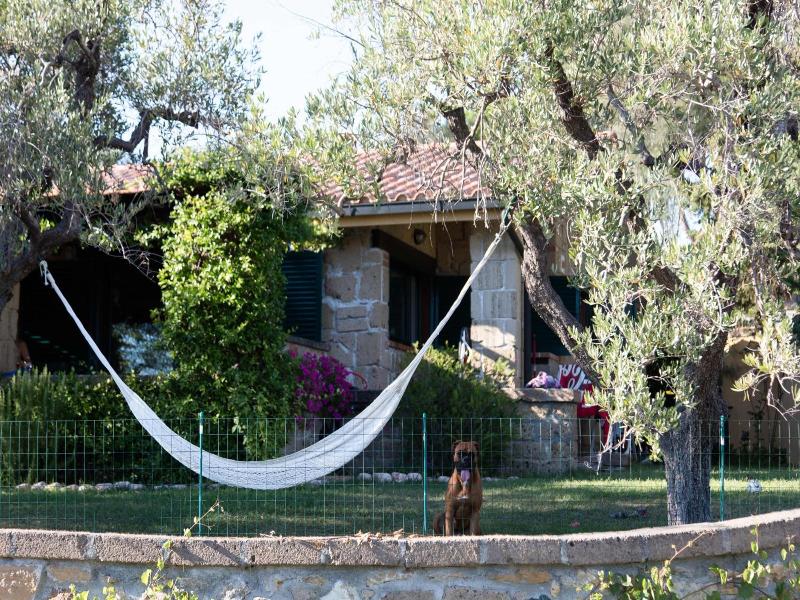 Il Borgo image