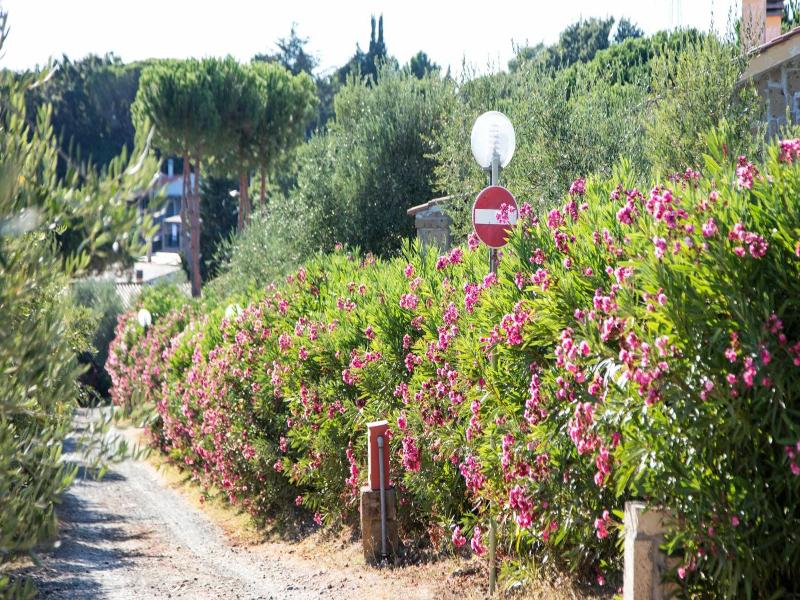 Il Borgo image