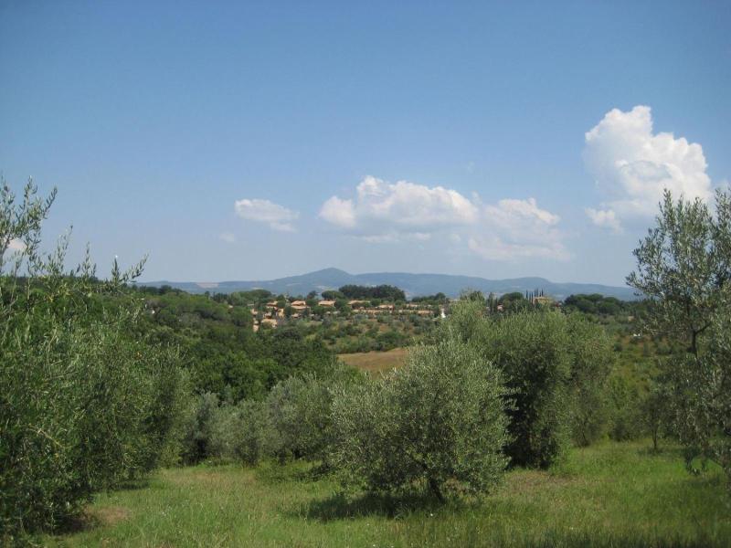 Il Borgo image