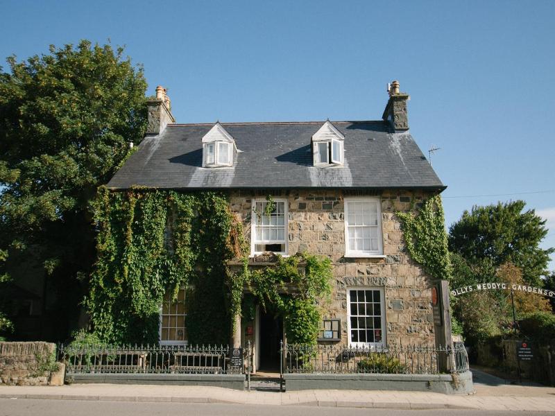Llys Meddyg — general view