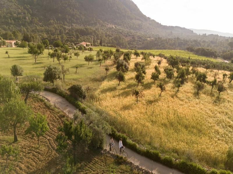 Finca Ca'n Beneit image