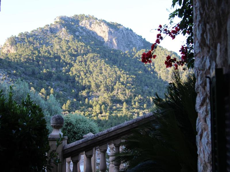 Finca Ca'n Beneit image