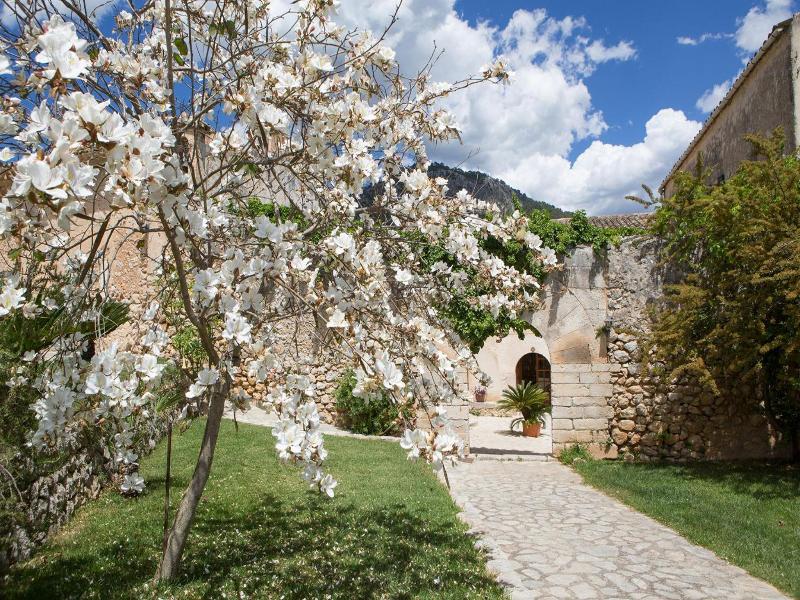 Finca Ca'n Beneit image