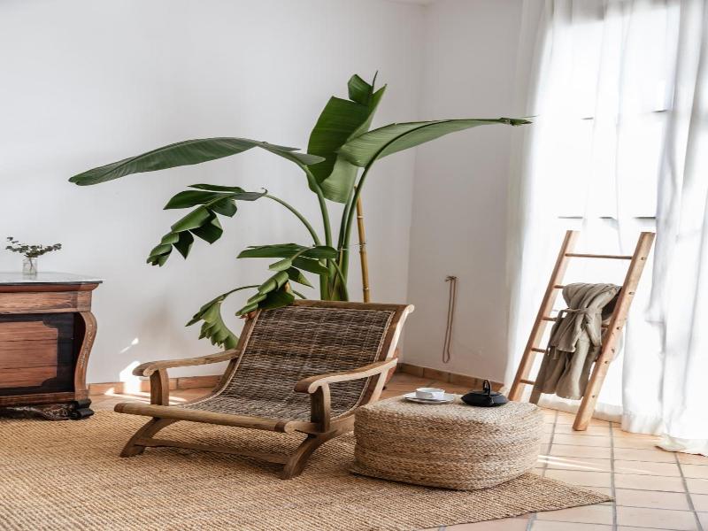 Finca Ca'n Beneit image