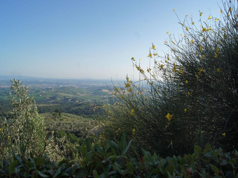 Colle Da Vinci image