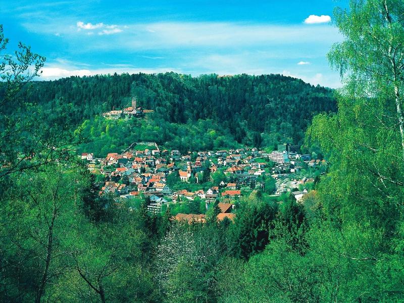 Hochwald image