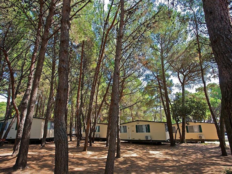 Campinghomes image
