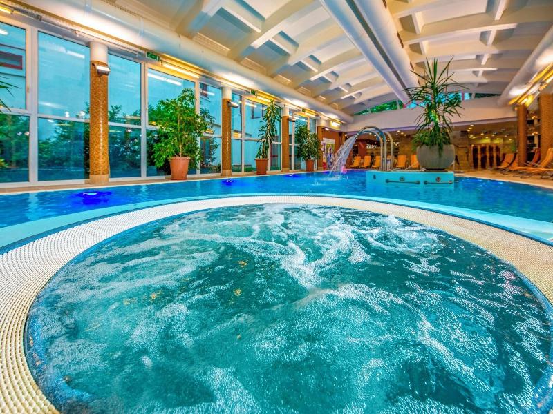 Drava Thermal Resort image