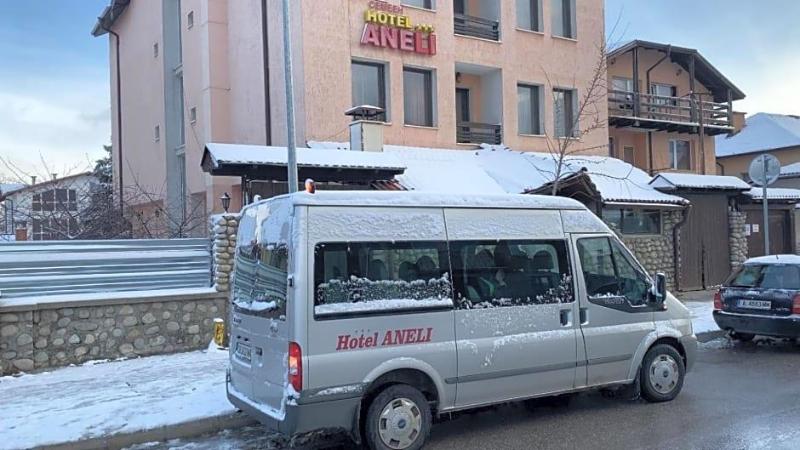 Aneli-S image