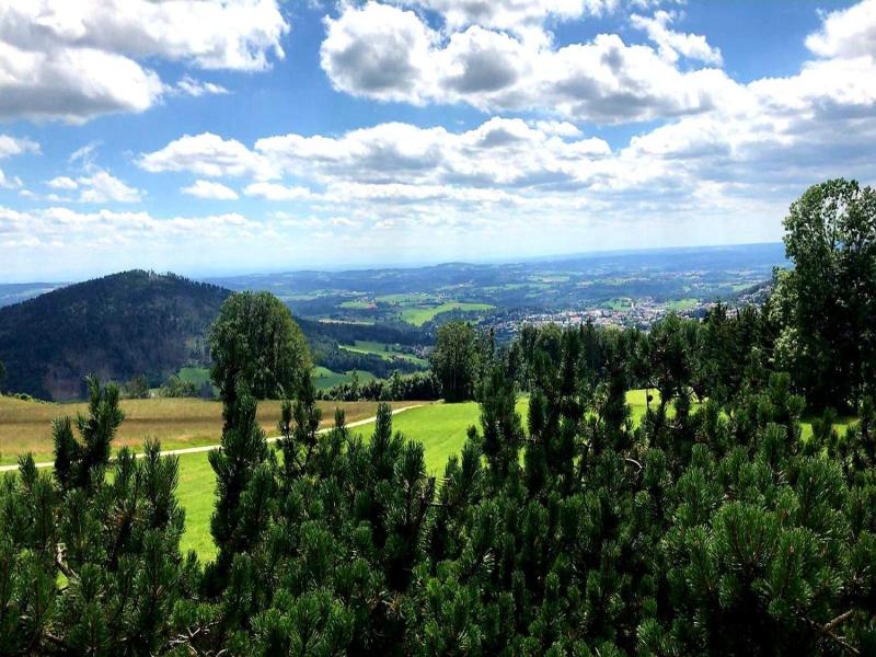 Landgasthof Zum Kirchenwirt image