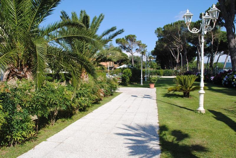 Holiday image