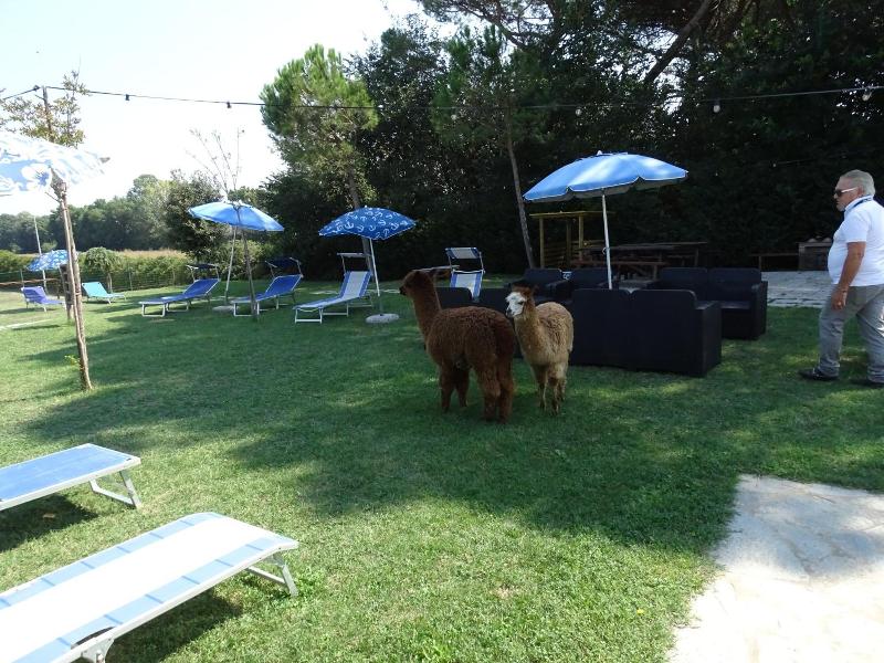 Country House Podere Lacaioli image