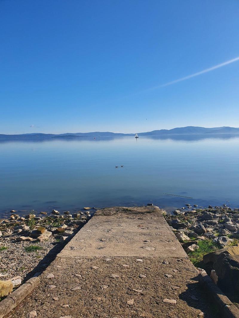 Trasimeno image