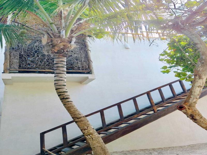 Azucar Tulum image