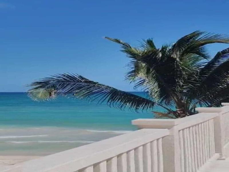 Azucar Tulum image