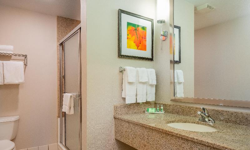Holiday Inn Stevens Point - Convention Ctr image