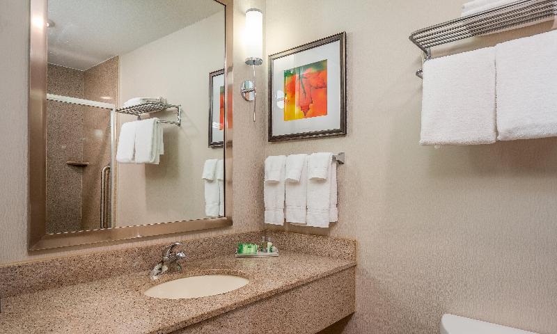 Holiday Inn Stevens Point - Convention Ctr image