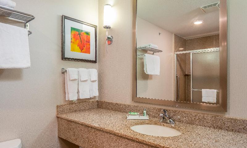 Holiday Inn Stevens Point - Convention Ctr image