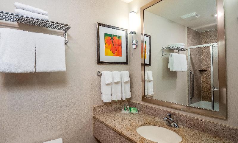 Holiday Inn Stevens Point - Convention Ctr image