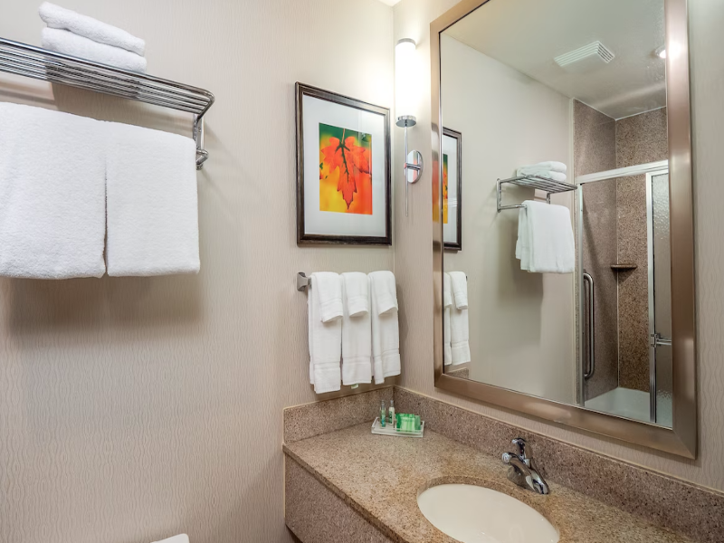 Holiday Inn Stevens Point - Convention Ctr image