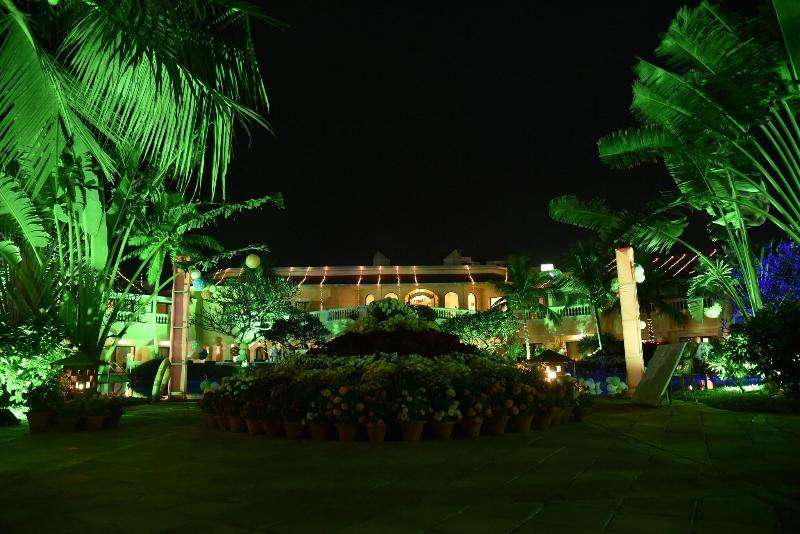 Hans Coco Palm image