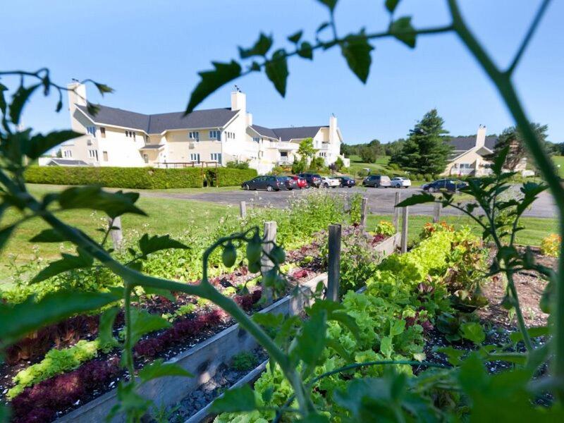 Auberge & Spa West Brome — general view
