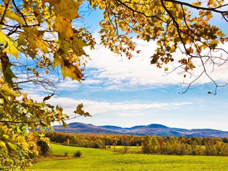 Auberge & Spa West Brome image