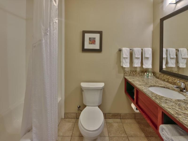 Holiday Inn Roswell image