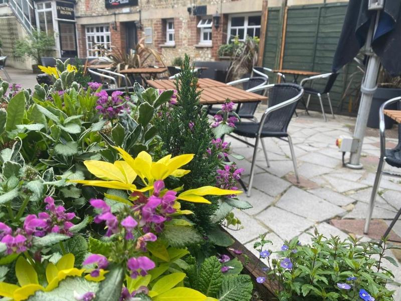The Old Bell Inn image