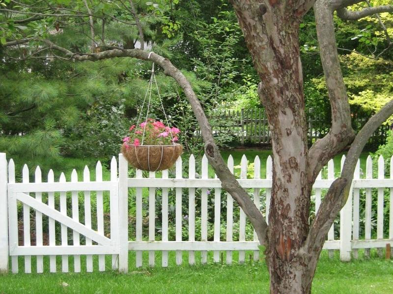 Beautiful Valley Guesthouse image