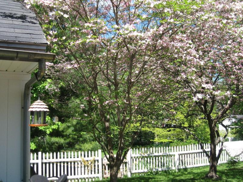 Beautiful Valley Guesthouse image