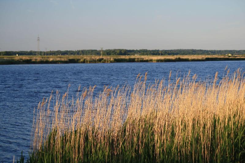 Treenehof image