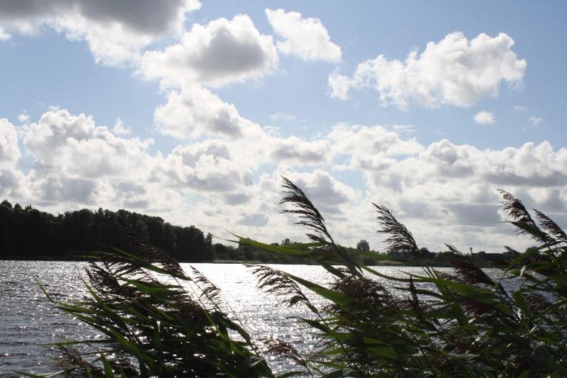 Treenehof image
