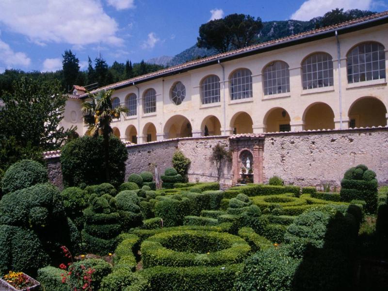 Degli Ulivi image