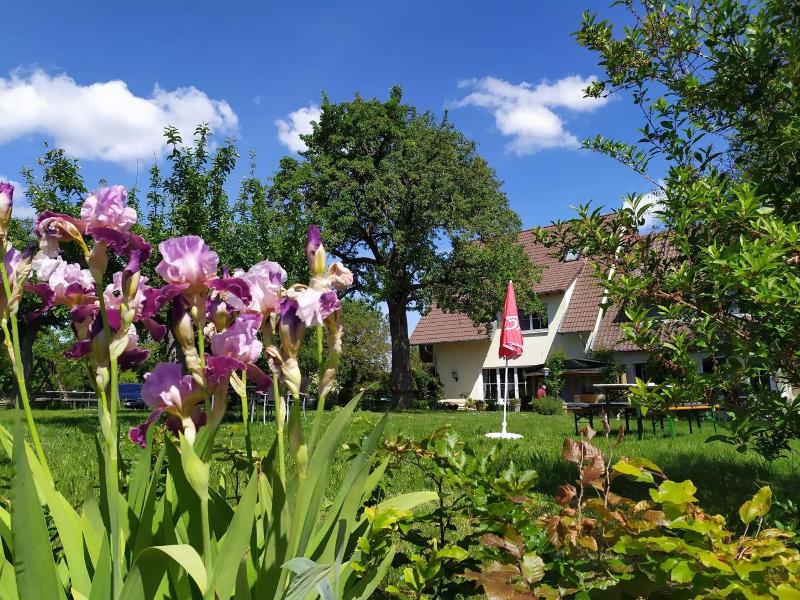 Landgasthof Zum Rappen image
