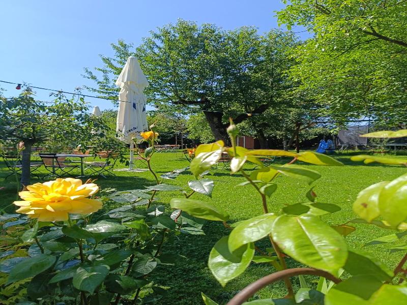 Landgasthof Zum Rappen image