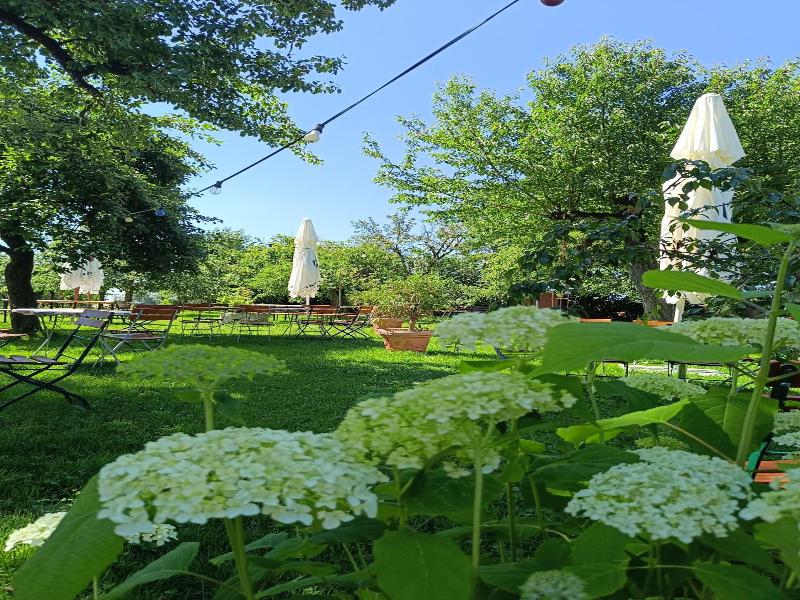 Landgasthof Zum Rappen image