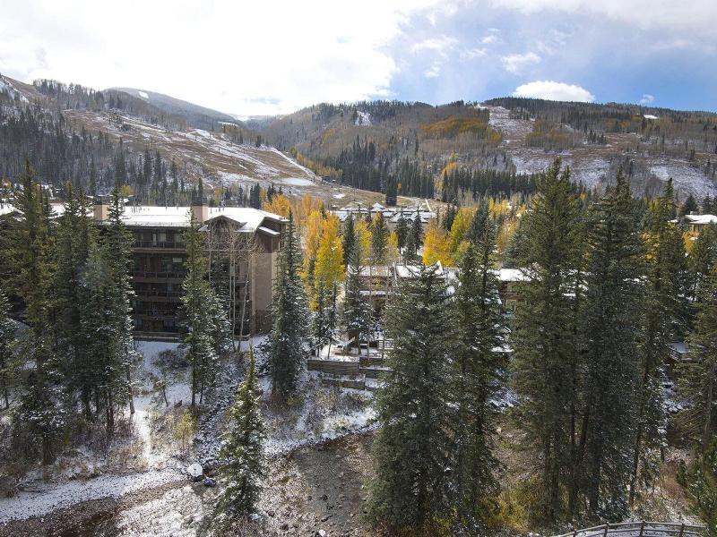 The Wren at Vail