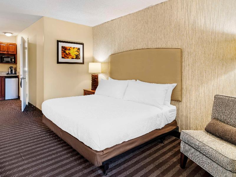 Best Western Springfield Hotel image