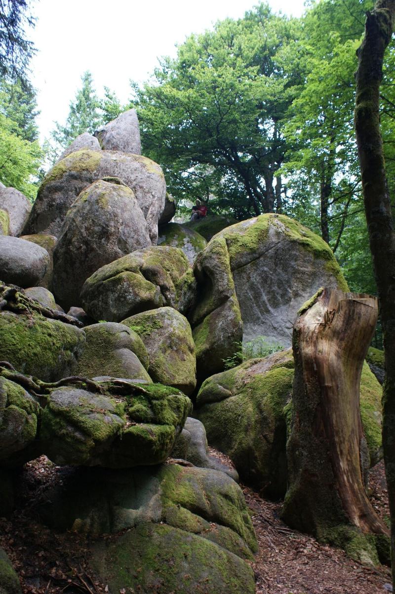 Höhengasthaus Kolmenhof image