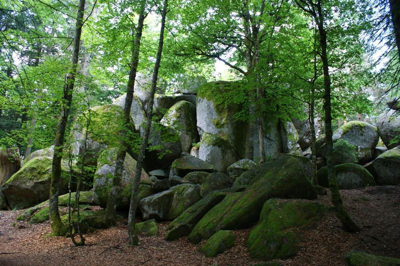 Höhengasthaus Kolmenhof image