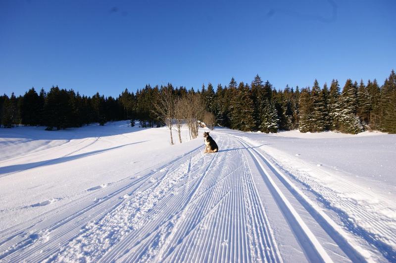 Höhengasthaus Kolmenhof image