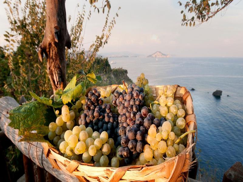 Albergo La Vigna image