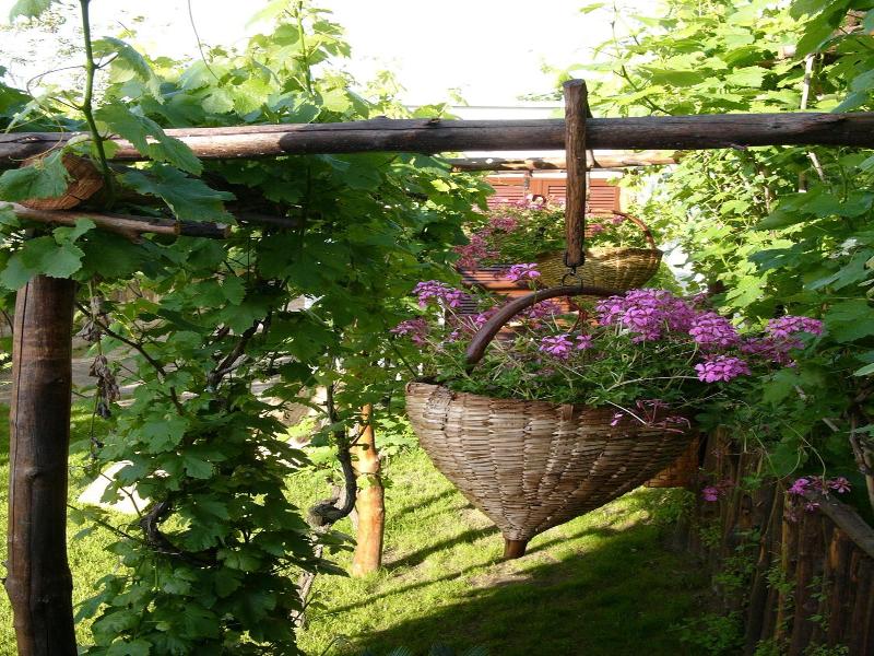 Albergo La Vigna image