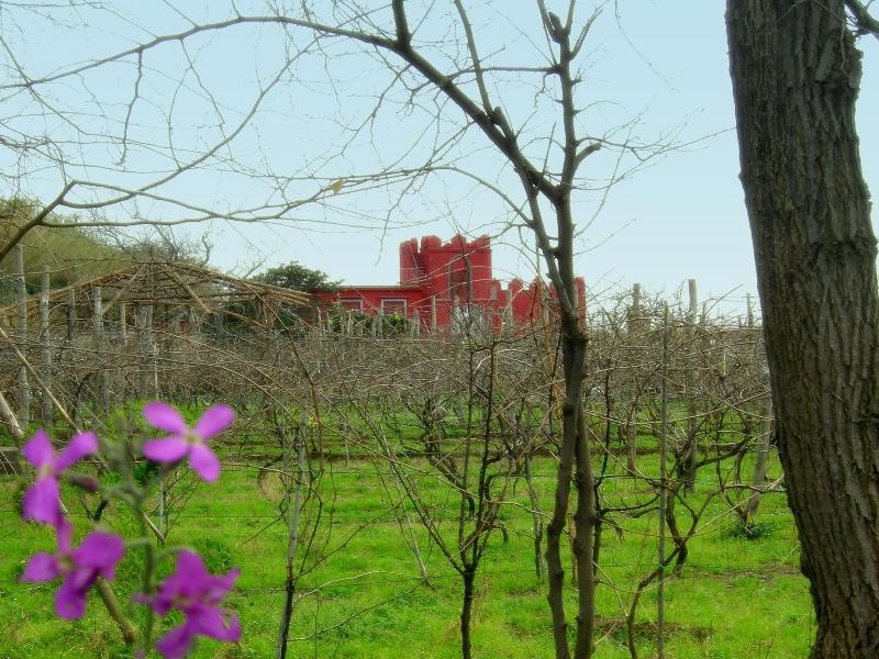 Albergo La Vigna image