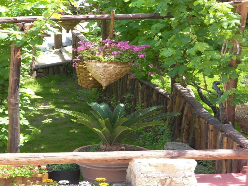 Albergo La Vigna image