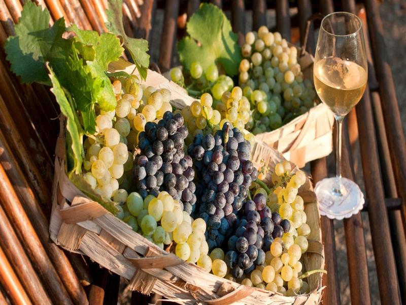 Albergo La Vigna image