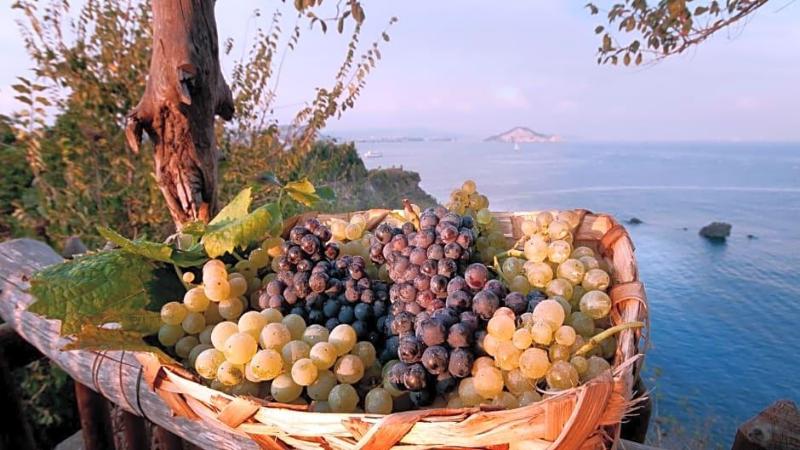 Albergo La Vigna image